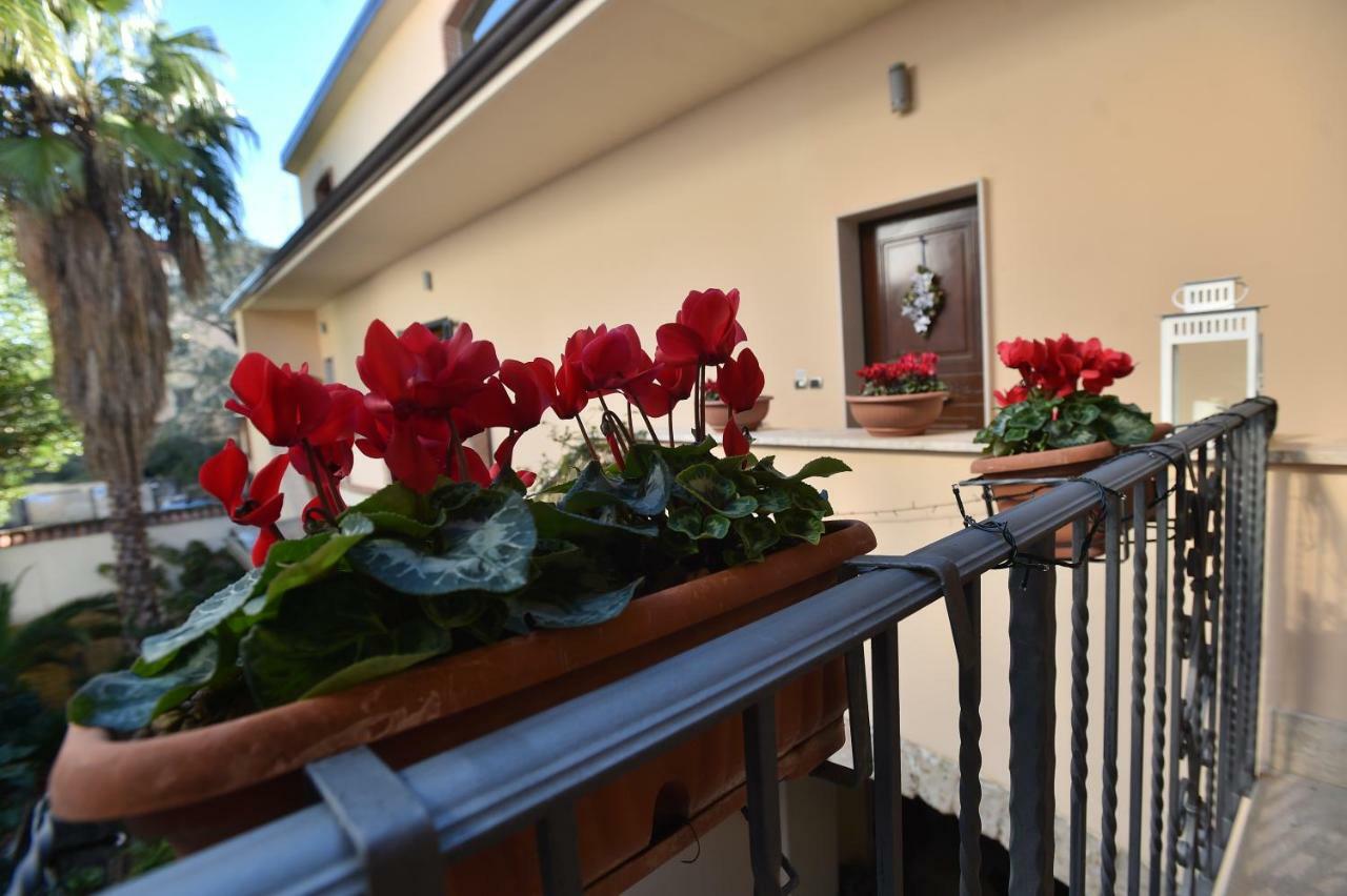 Residenza D'Epoca B&B Celeste 卡塞塔 外观 照片
